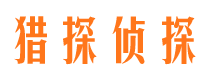 连平市场调查